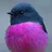 craftlinks/zig_learn_opengl